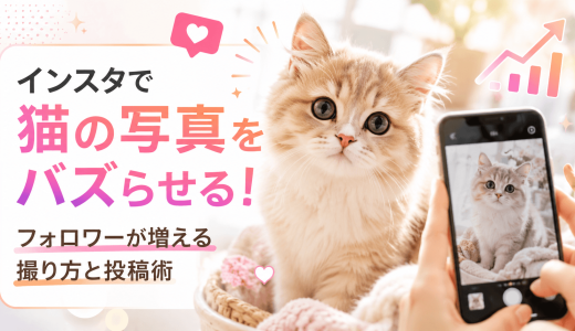 インスタで猫の写真をバズらせる！フォロワーが増える撮り方と投稿術